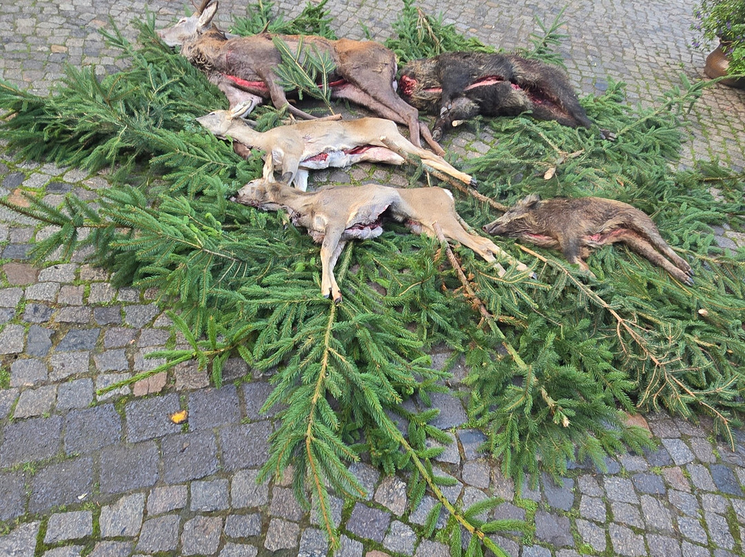 Ferienhotel Wolfsmuhle主图