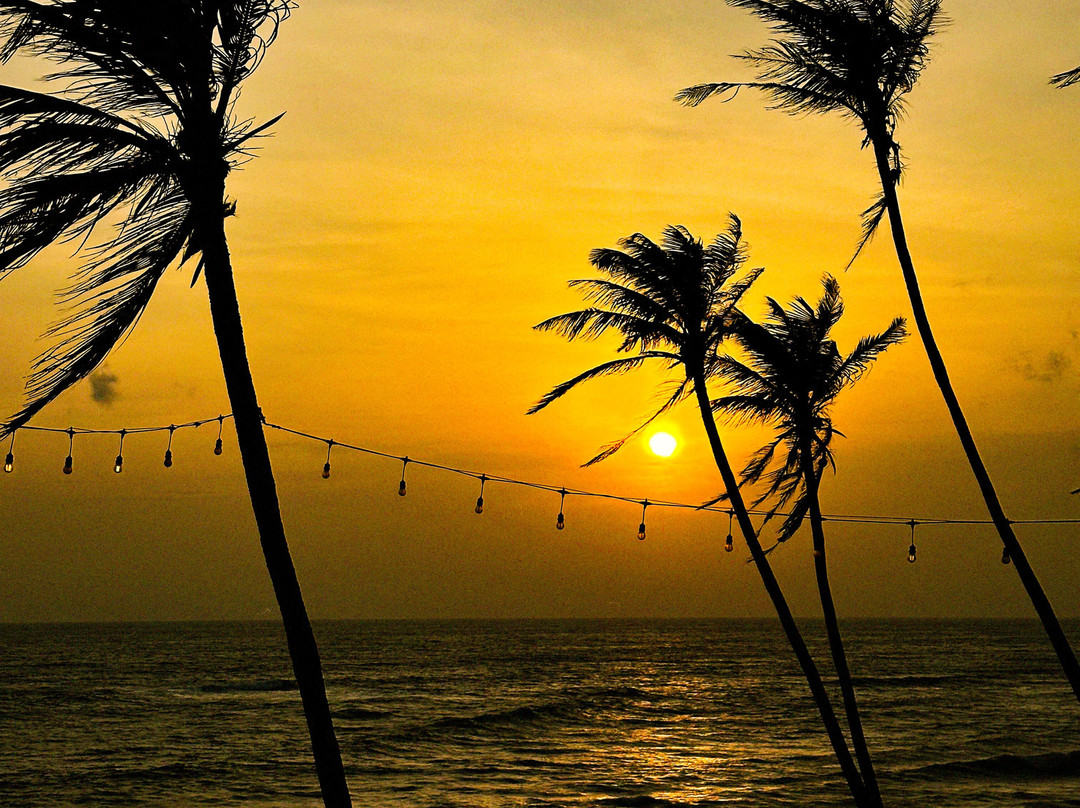 Visit Adventure Lanka Travel-Ragama必去景点