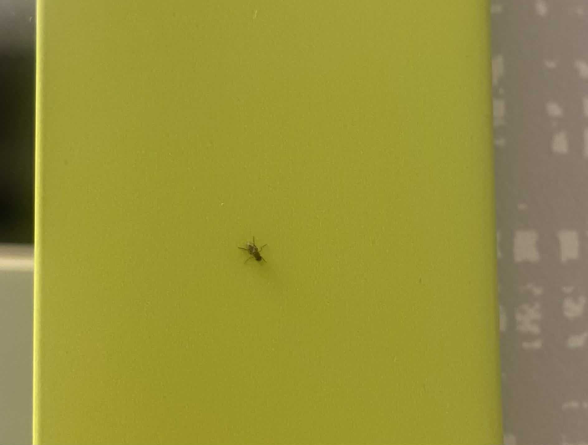 Hampton Inn & Suites Poughkeepsie-客卧