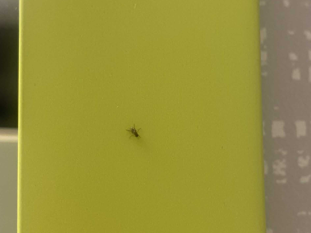 Hampton Inn & Suites Poughkeepsie主图