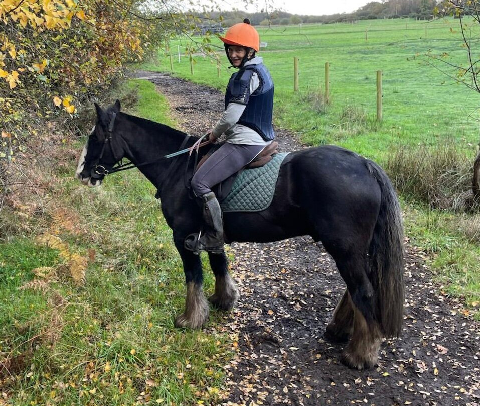 Eastmoors Forest Rides-St Leonards必去景点