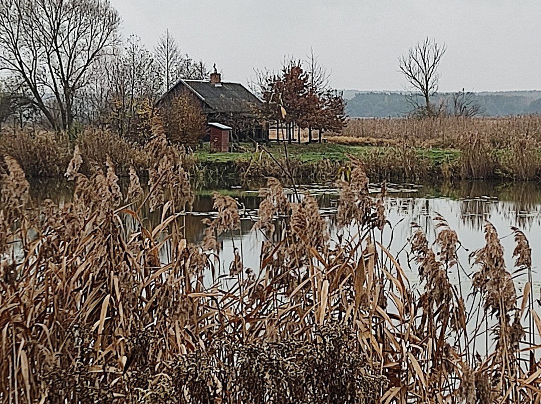 Dwor Osmolice, Białki Dolne主图