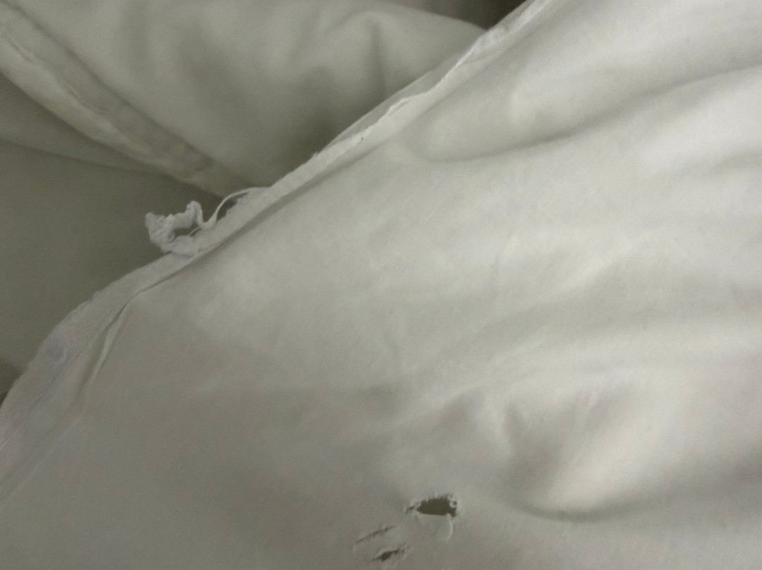 阿塔拉扎纳斯马拉加精品酒店主图