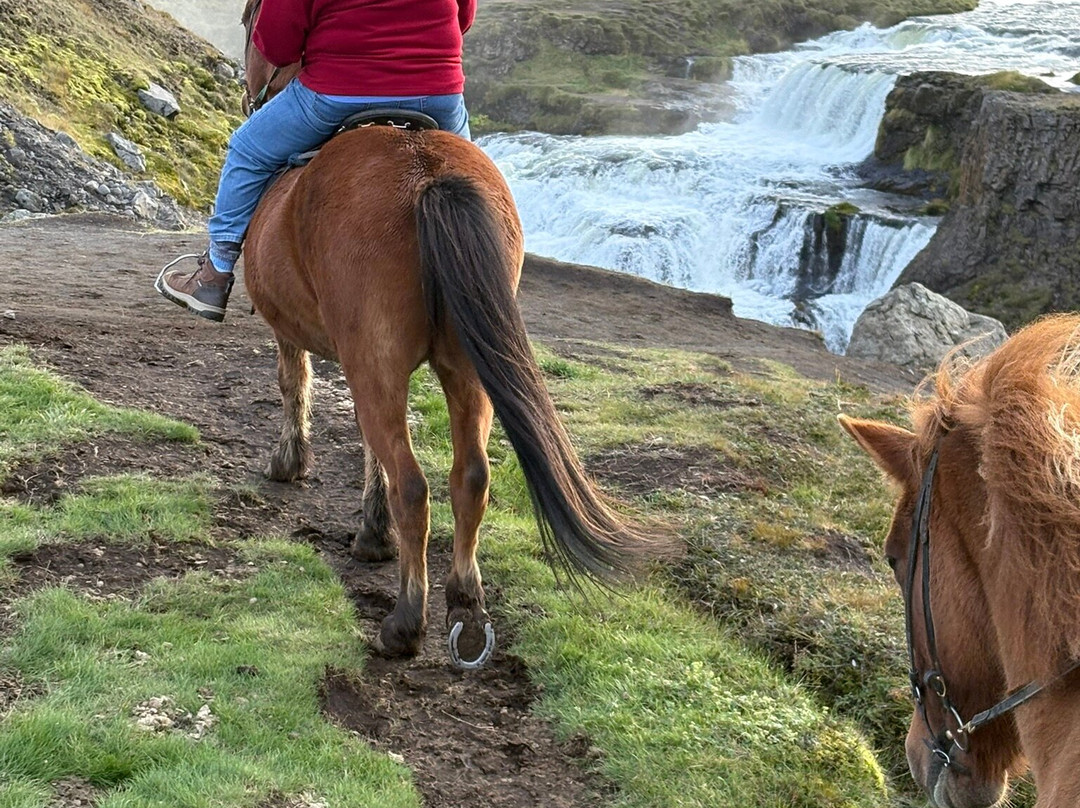 Iceland Offbeat-凯夫拉维克必去景点