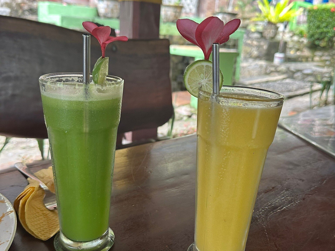 Bukit Lawang Jungle Trekking-武吉拉旺必去景点