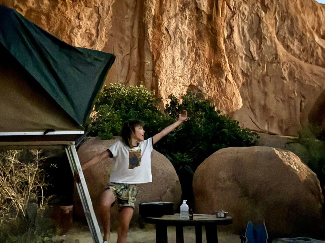 Bushtrackers-约翰内斯堡必去景点