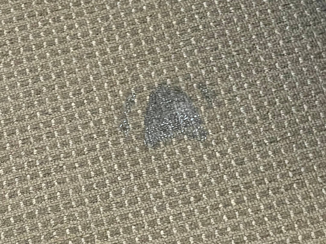 雷吉斯锚地公园酒店主图