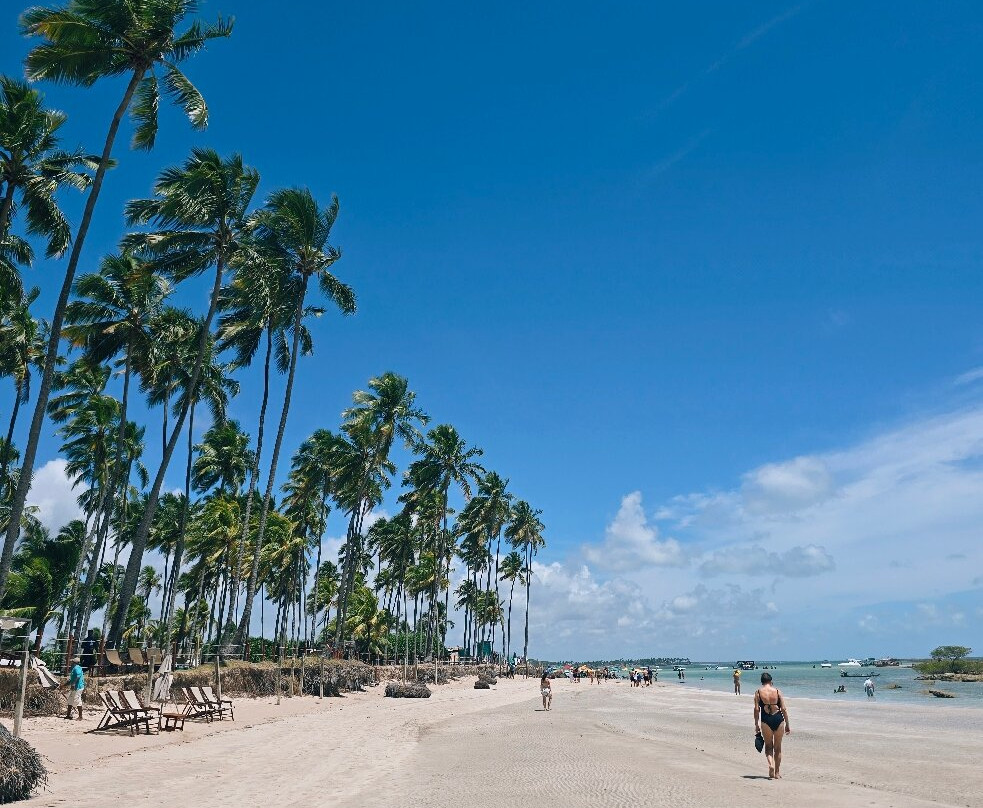 Briza Beach Club Carneiros-Tamandare必去景点