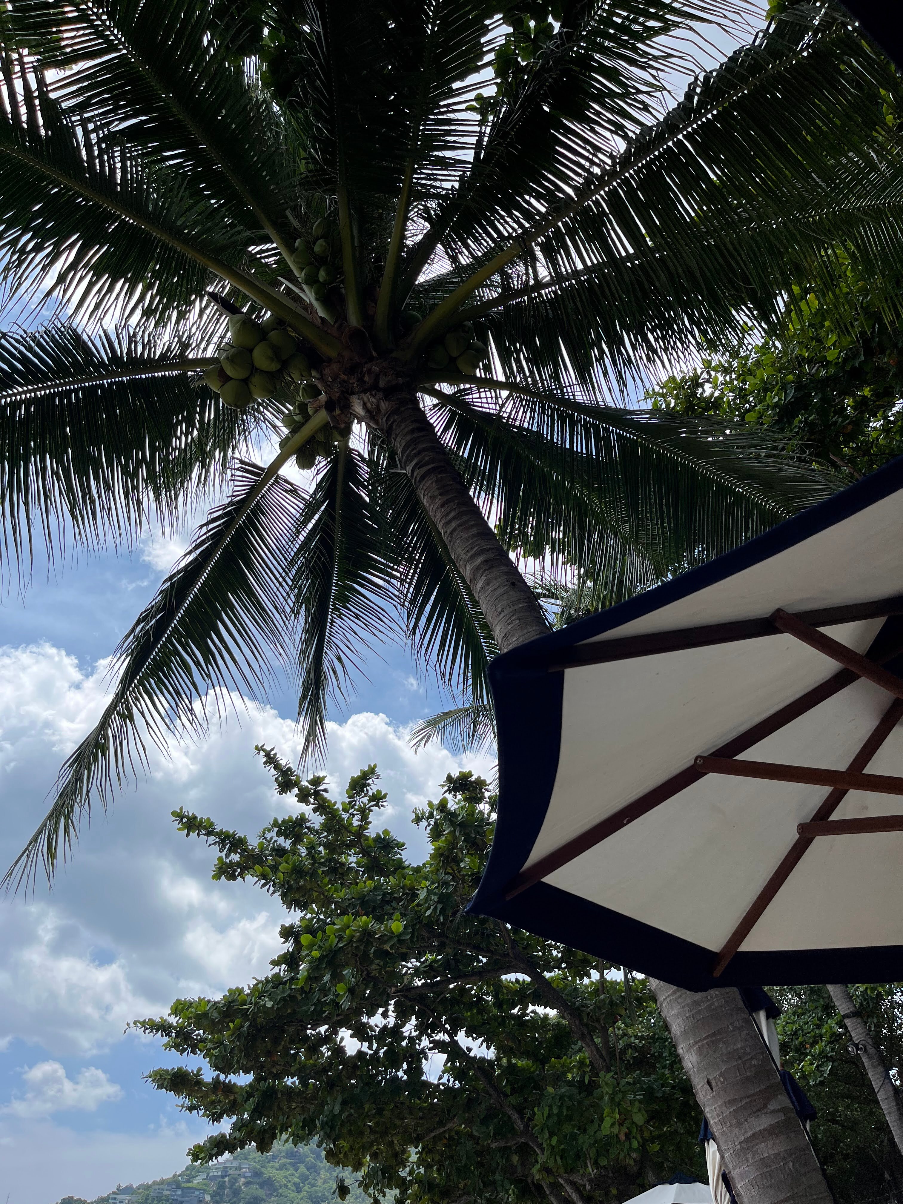 苏梅岛瓦娜贝莉豪华精选度假酒店-泳池