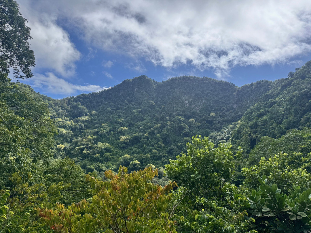 Quill National Park-圣尤斯泰希厄斯岛必去景点