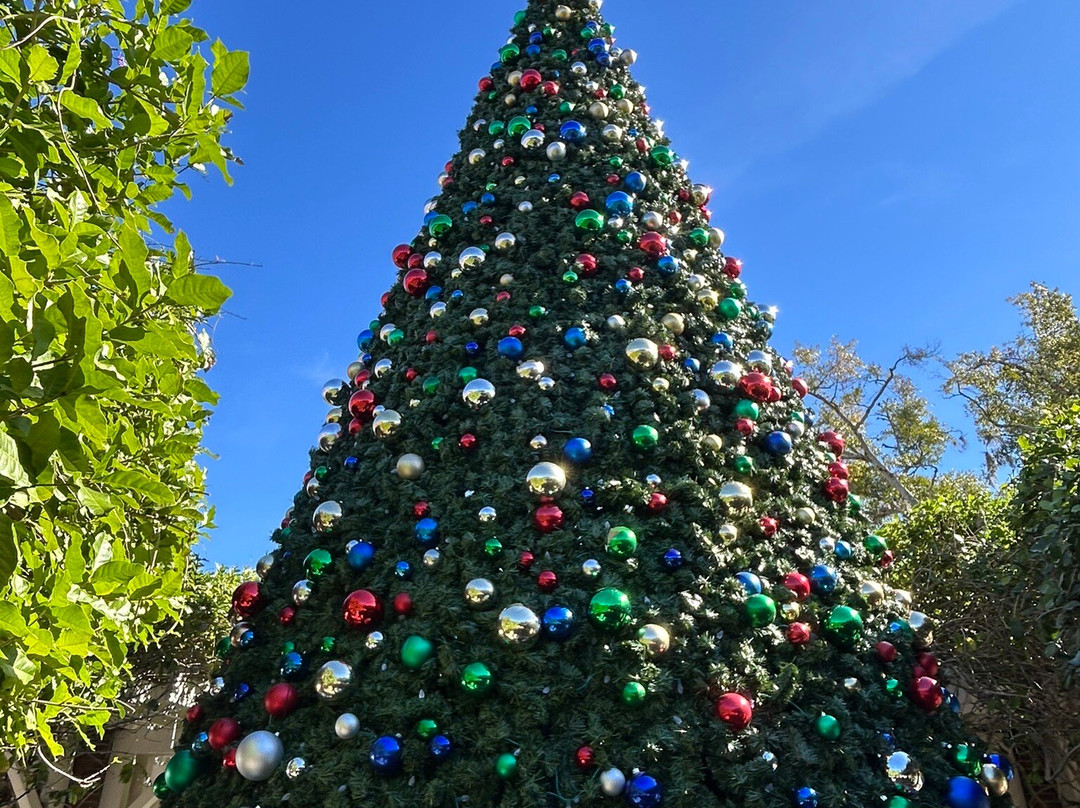 Downtown Winter Garden-Winter Garden必去景点