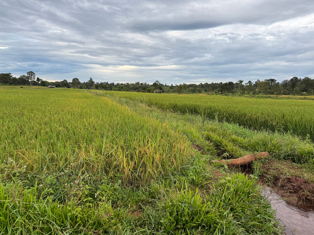Miss Noy Motorbike-百细必去景点