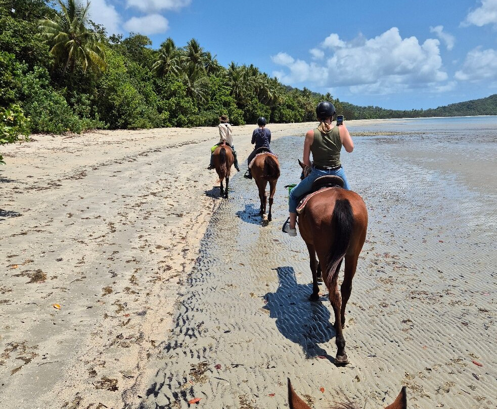 Cape Trib Horse Rides-Cape Tribulation必去景点