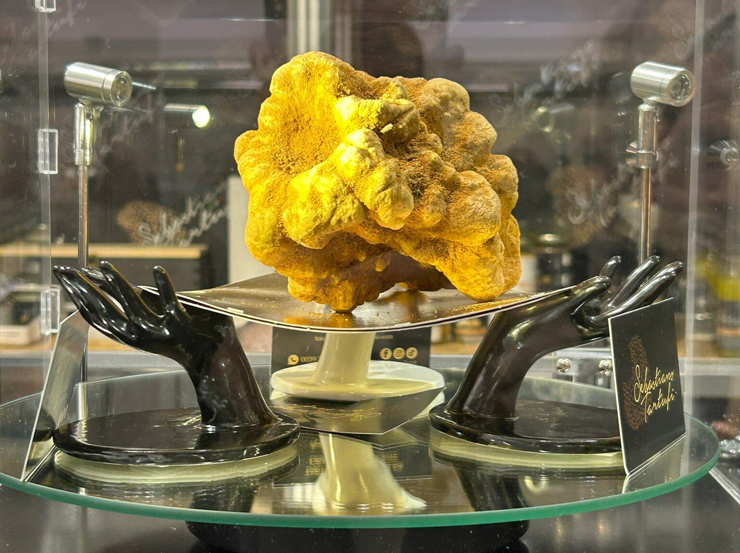 Alba International White Truffle Fair-阿尔巴必去景点
