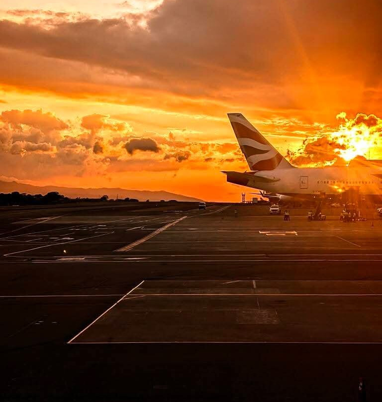 Matt's Fishing & Tours-萨迪纳尔必去景点