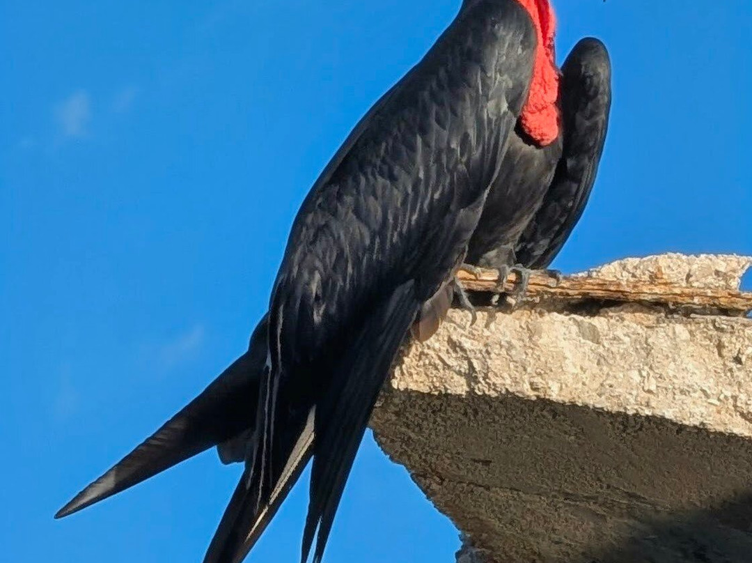 Boat Trip Rio Lagartos-里奥拉加托斯必去景点