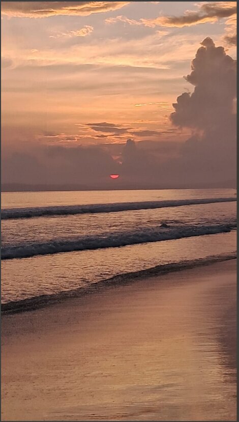 哈夫洛克赤脚酒店-官方