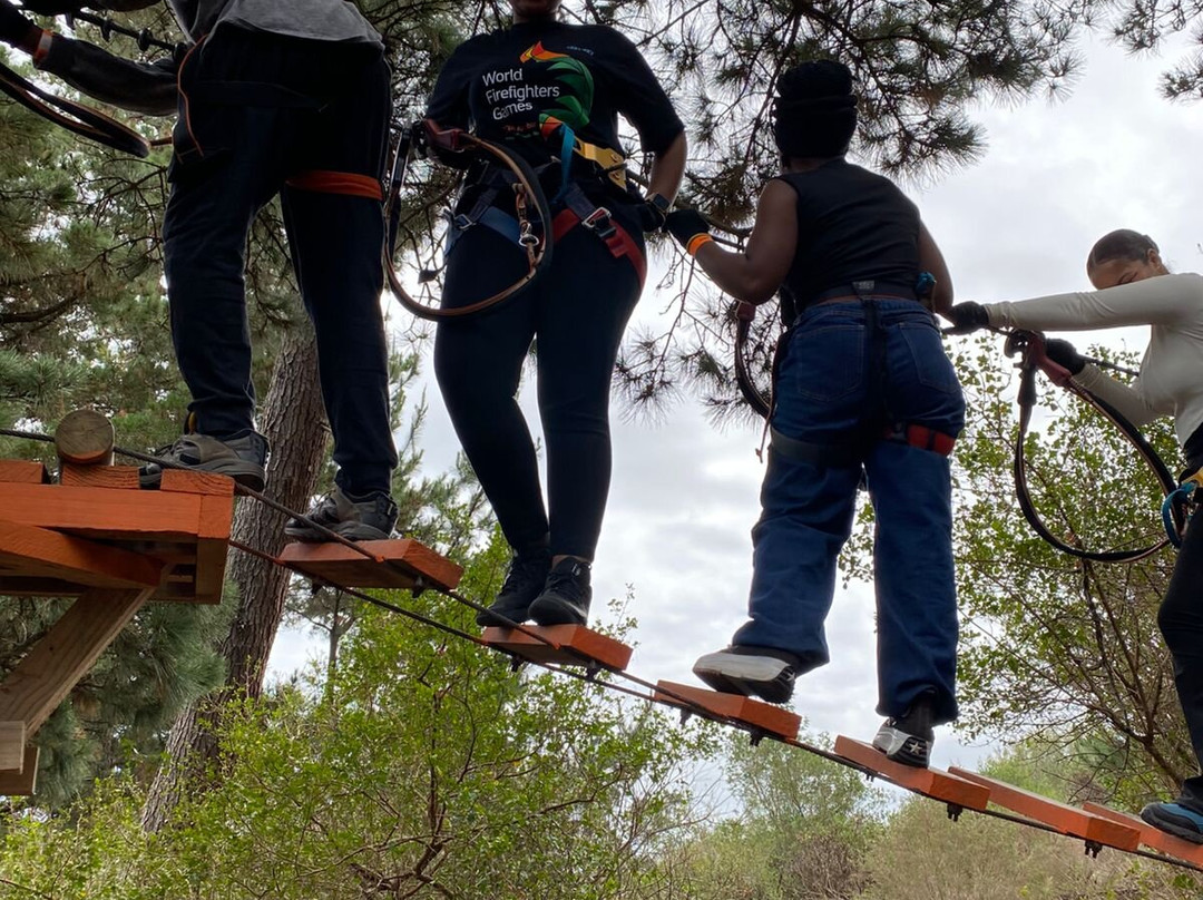 Acrobranch Garden Route-荒野必去景点
