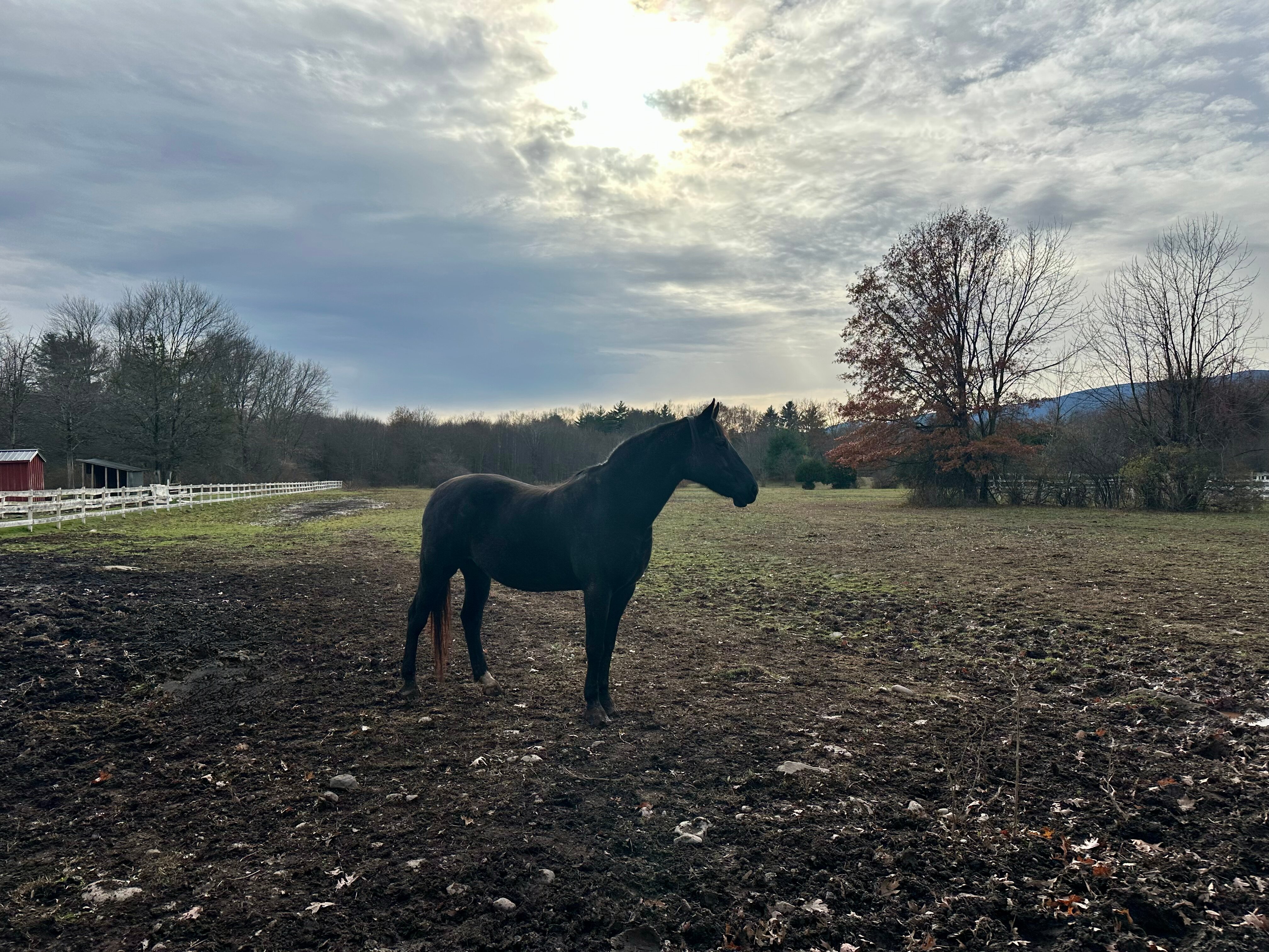 The Kaaterskill-官方