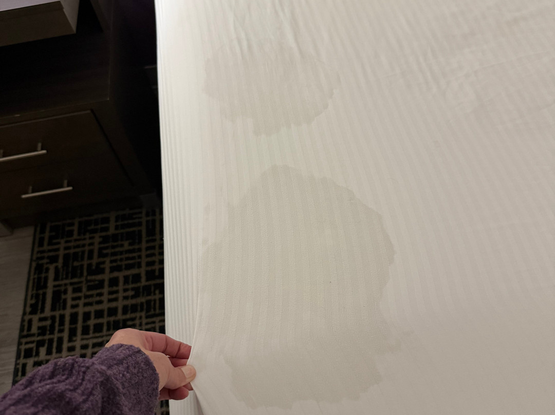 La Quinta Inn & Suites by Wyndham Terre Haute主图