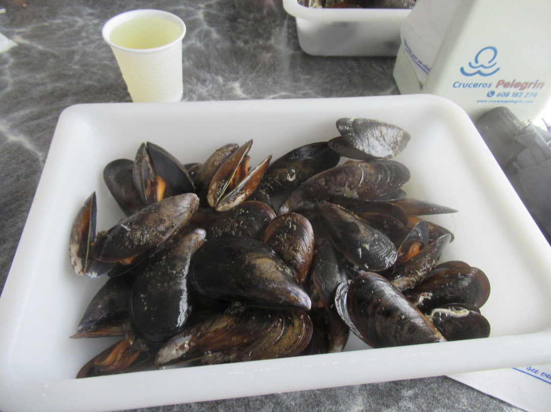 Cruceros Pelegrín-格罗韦必去景点