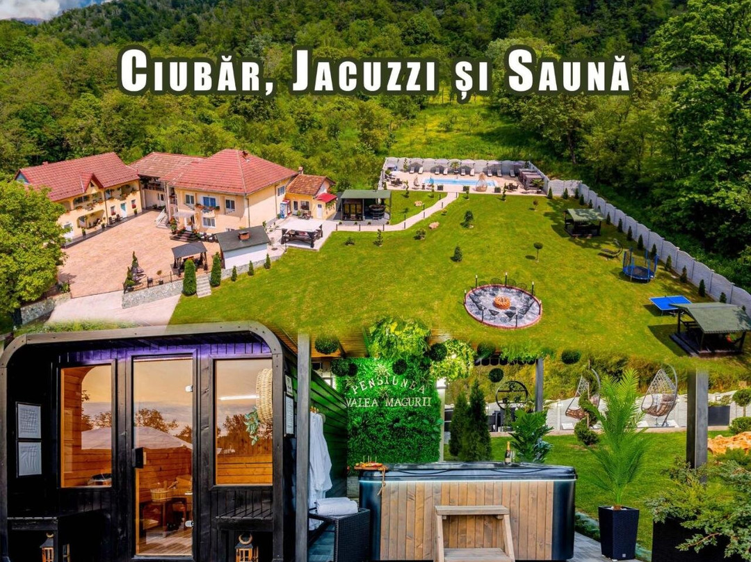Pensiunea Valea Măgurii