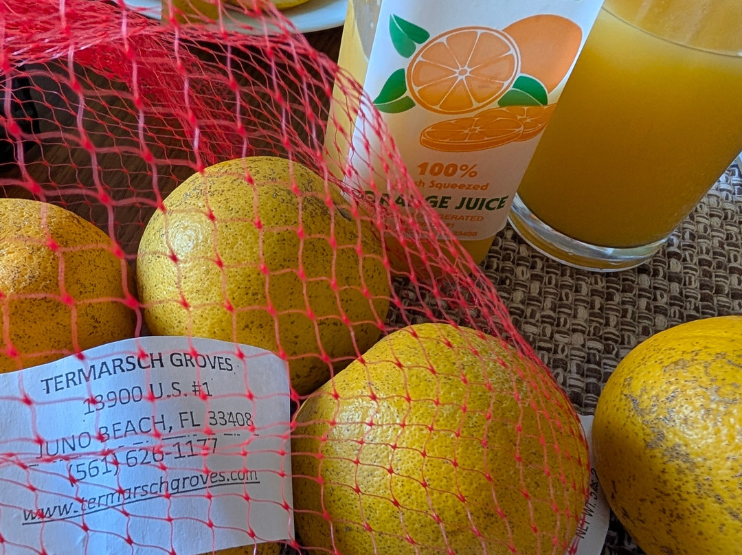 TerMarsch Groves-朱诺海滩必去景点