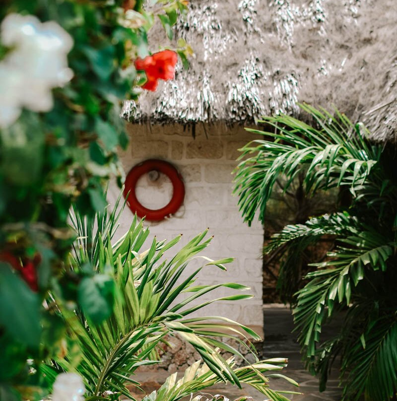 The Charming Lonno Lodge主图