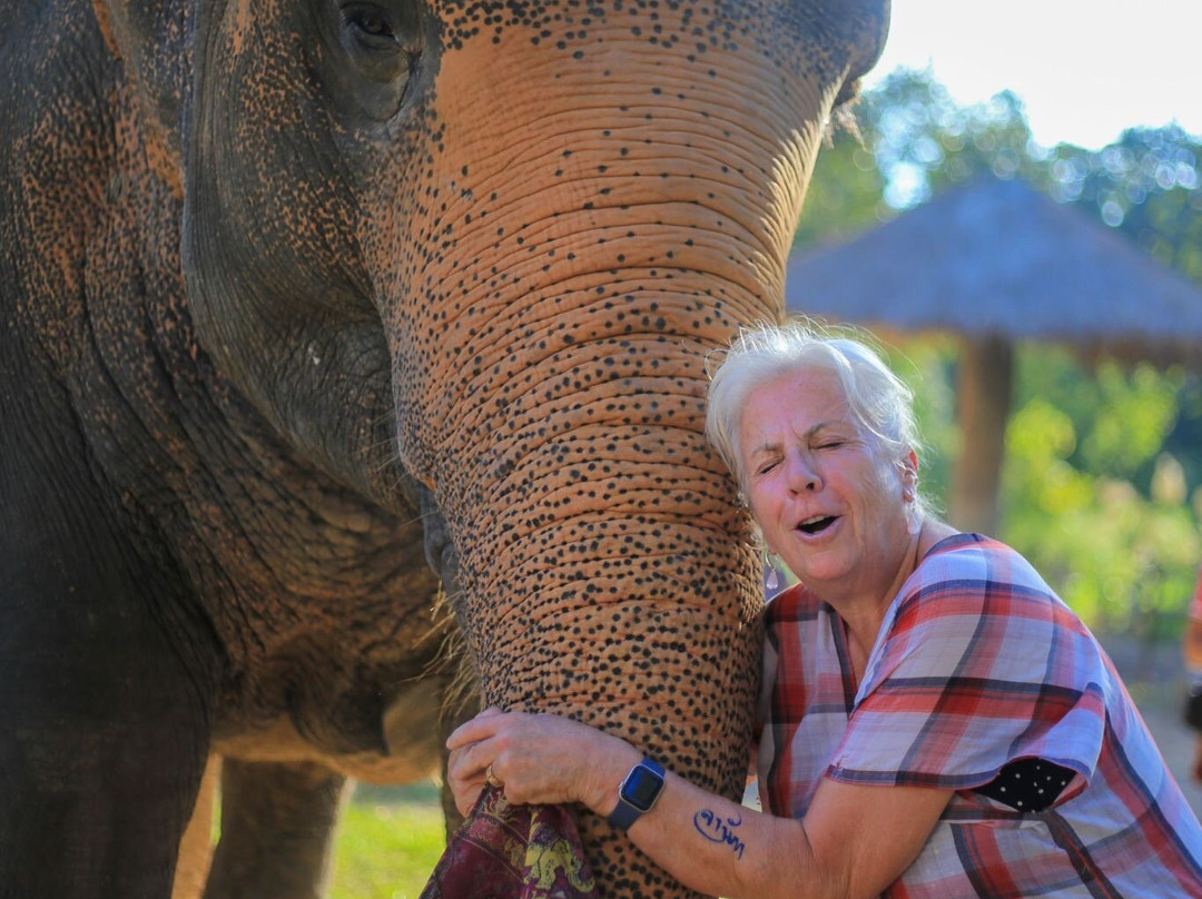 Maerim Elephant Sanctuary-夜林必去景点