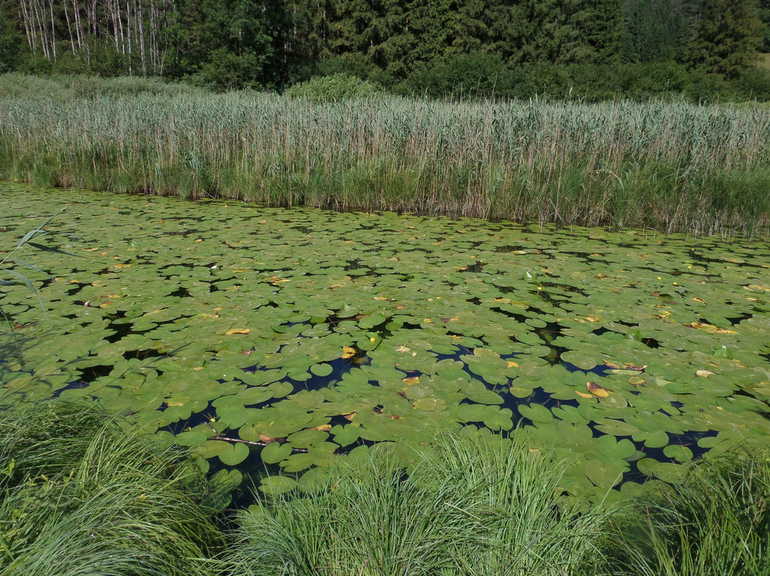Lago d'Ampola-Tiarno di Sopra必去景点