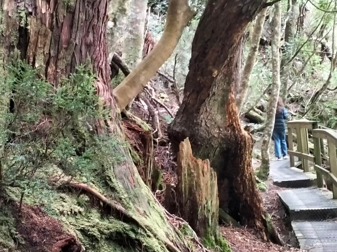 Crater Lake Circuit-摇篮山圣克莱尔湖国家公园必去景点