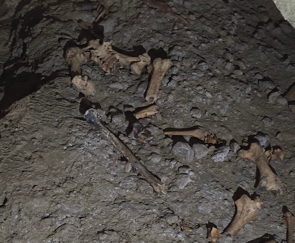 Footwhistle Glowworm Cave-怀托摩洞穴必去景点