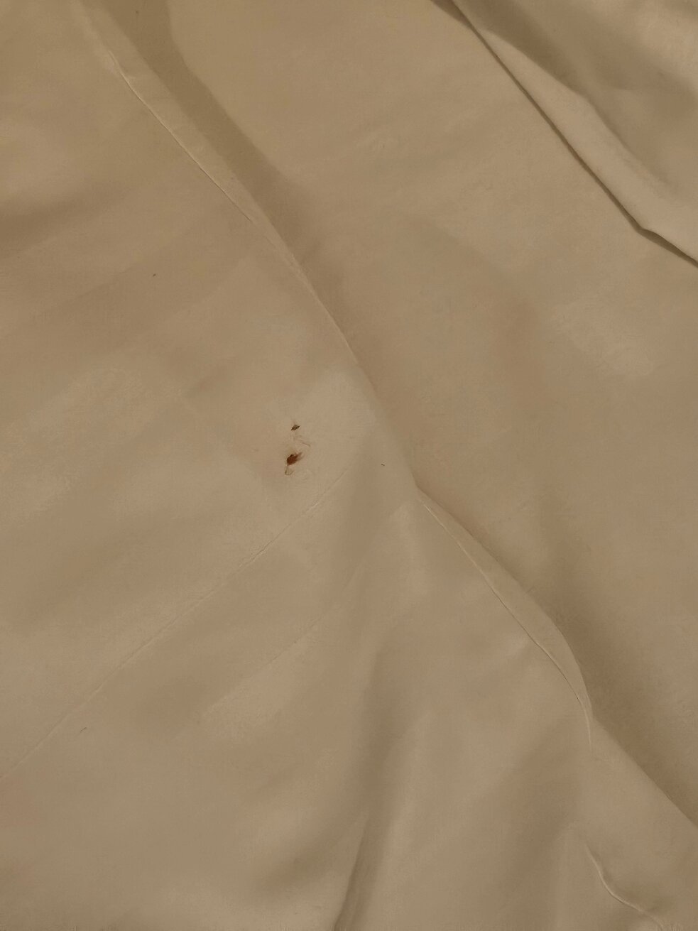 Charles Cotton Hotel-官方