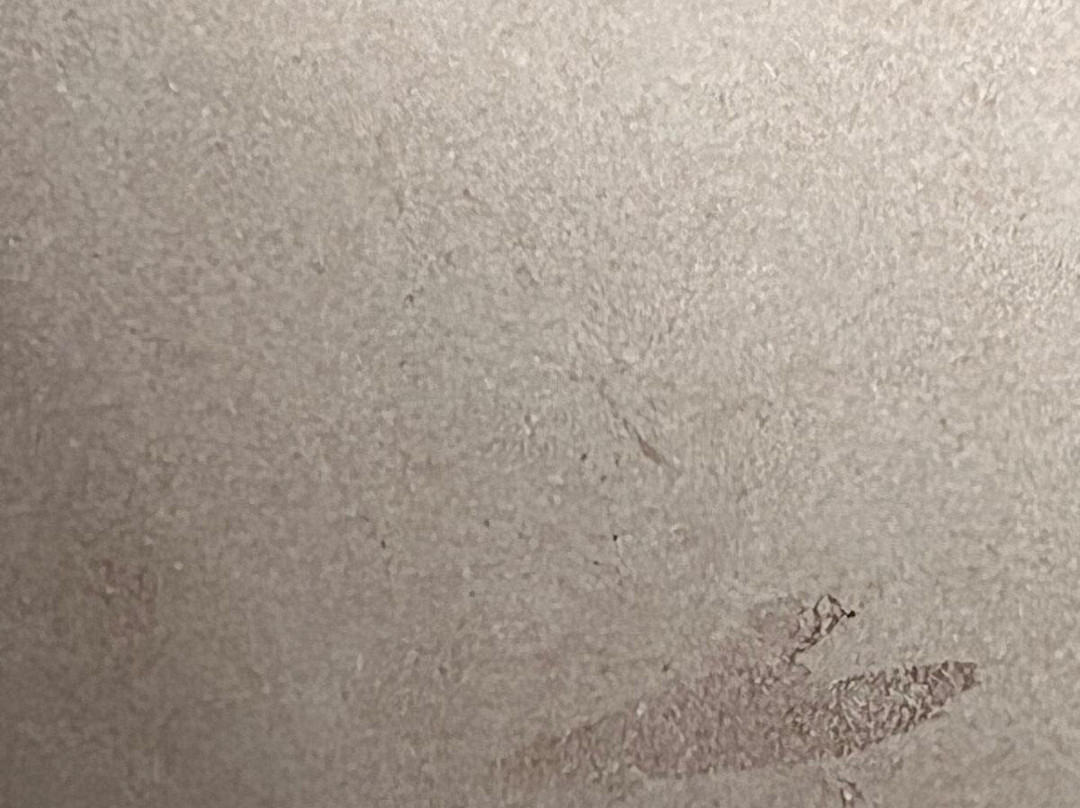 Melia Dunas Beach Resort & Spa主图