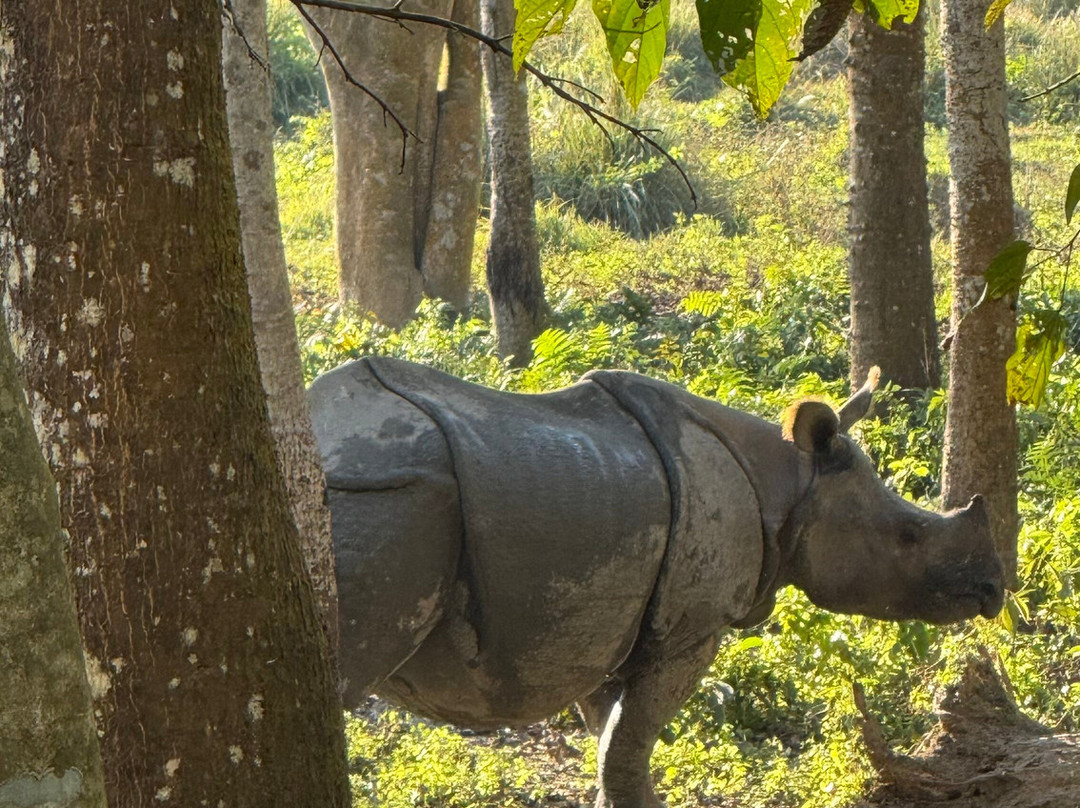 Himalaya Reisen-Wettingen必去景点