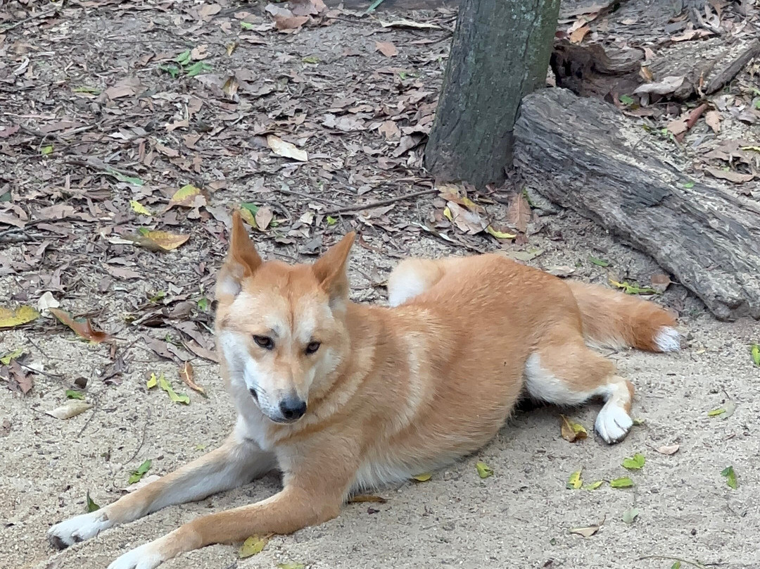 David Fleay Wildlife Park-West Burleigh必去景点