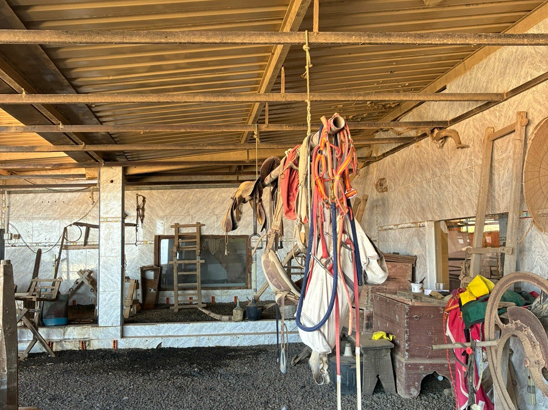 Finca Pepe-Betancuria必去景点