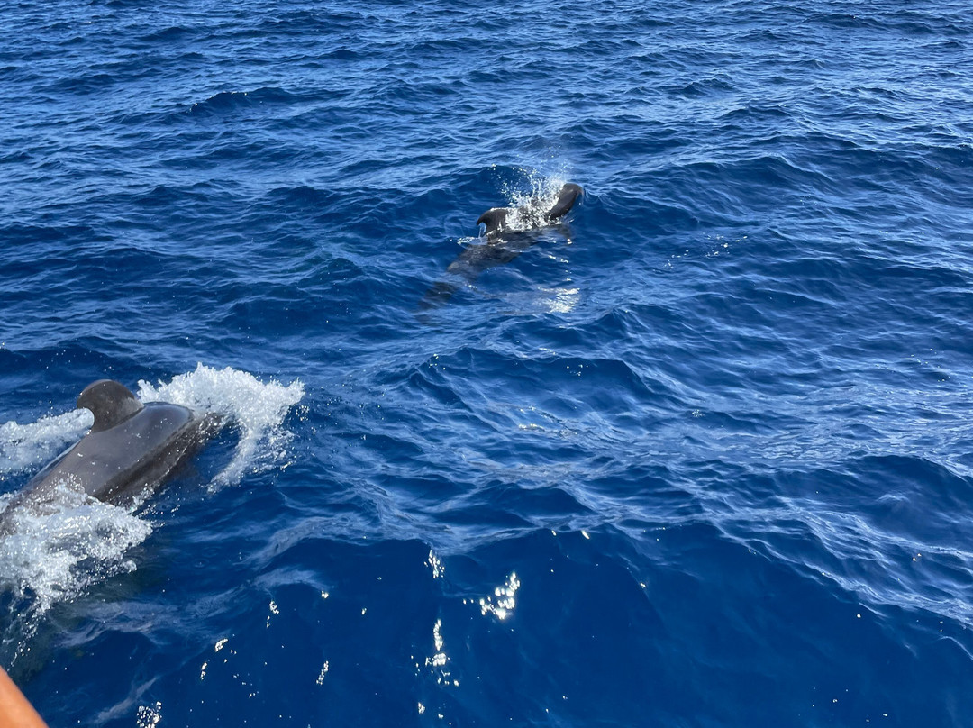 Tina Excursiones-Valle Gran Rey必去景点