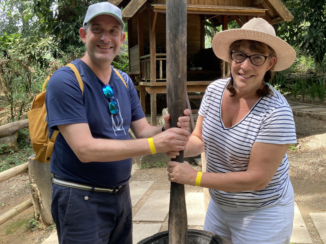 Phang Nga Elephant Park-攀牙必去景点