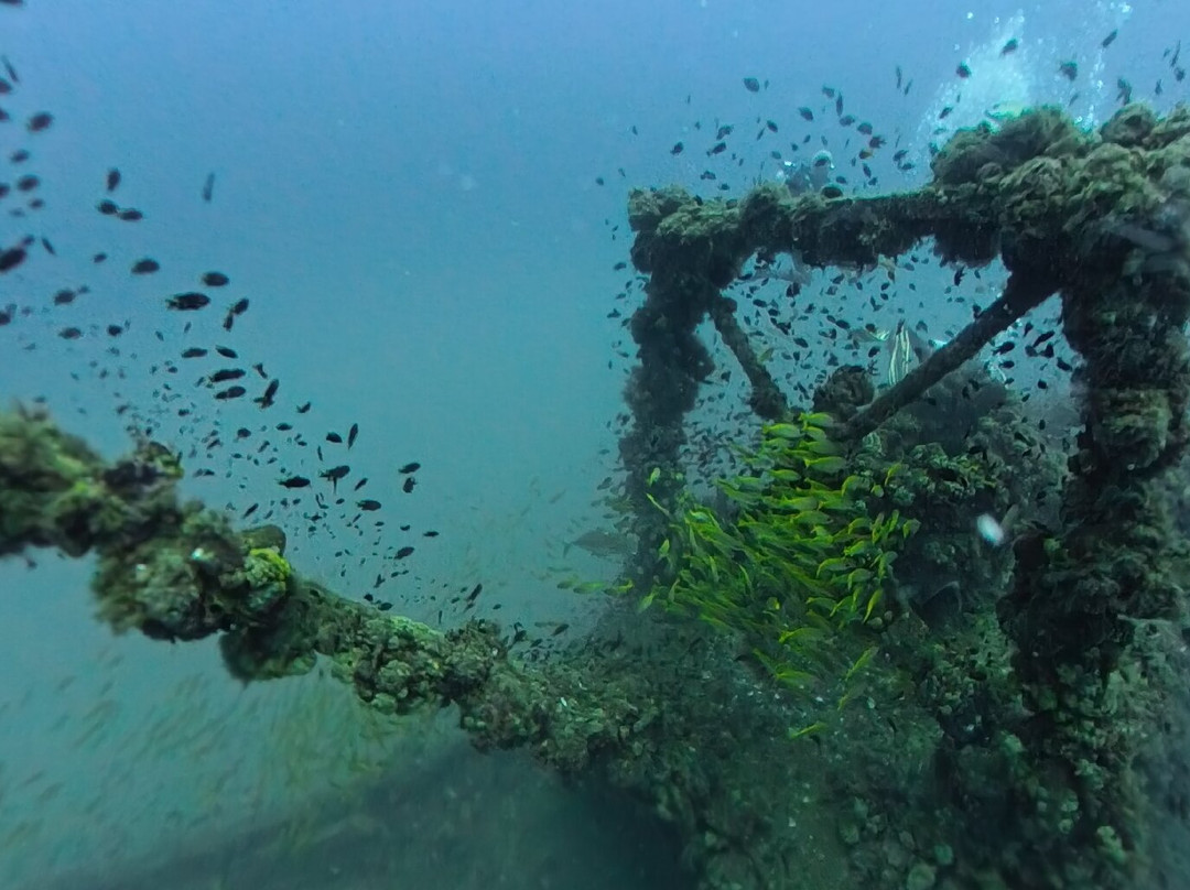 Tropical Diving-诺西贝必去景点