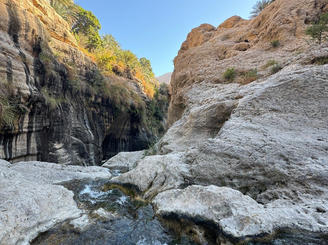 Wadi Tiwi-提维必去景点