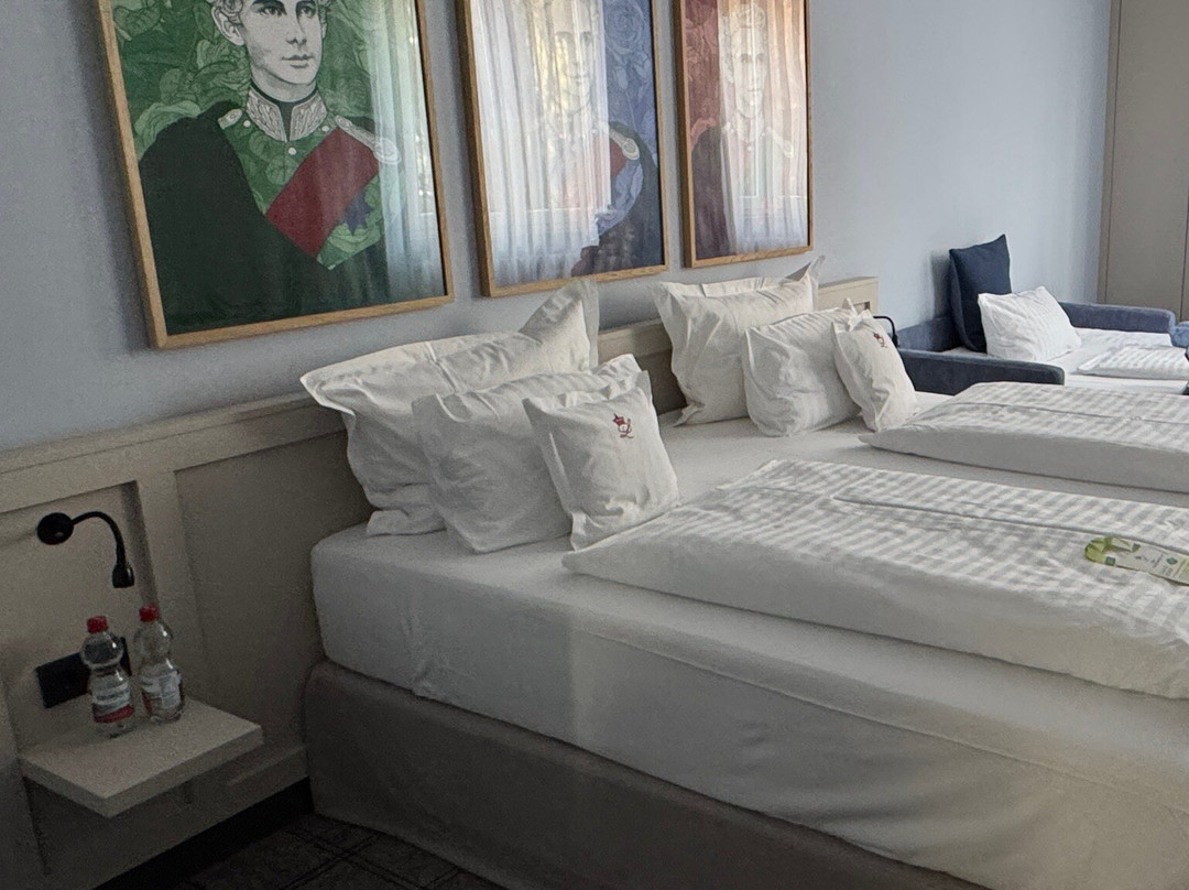 国王路德维希二世酒店主图