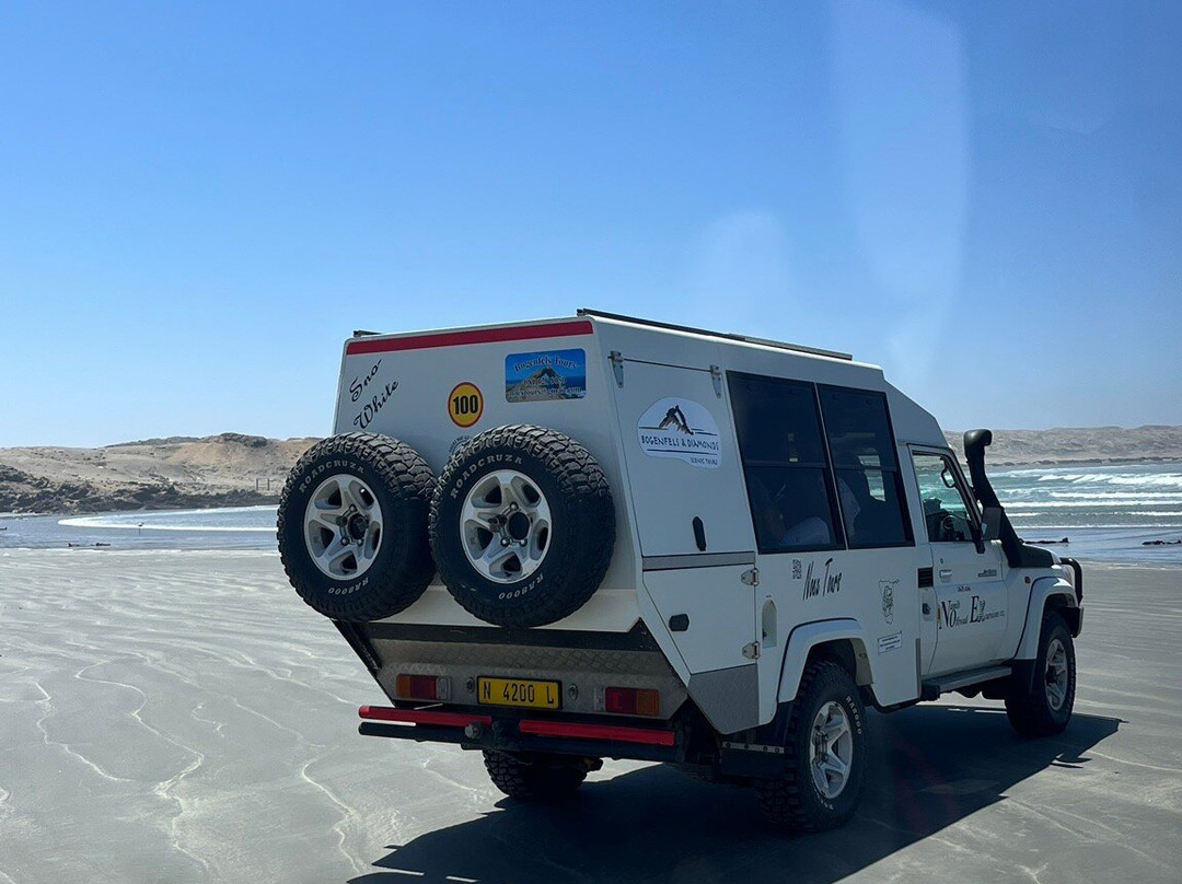 Namib Offroad Excursions-吕德里茨必去景点