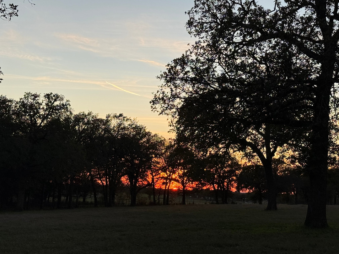 NRS Event Center-Decatur必去景点