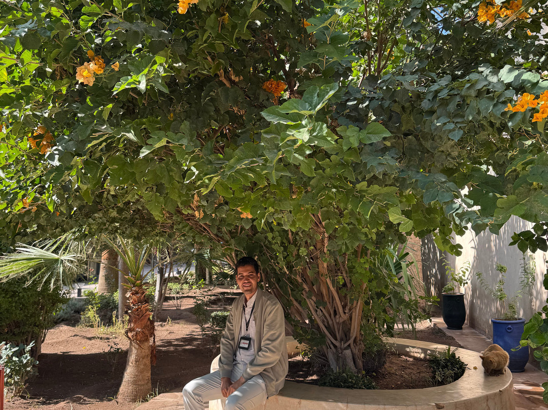 Wonderful Morocco Trips-马拉喀什必去景点