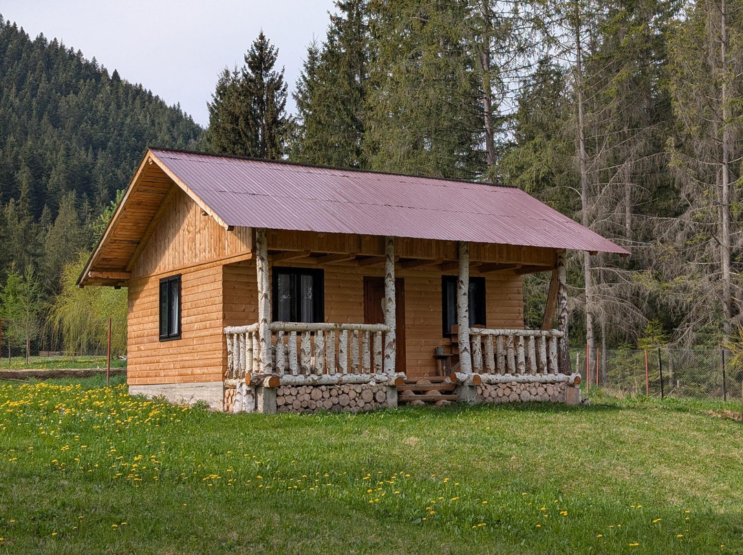Via Transilvanica-Piatra Fantanele必去景点