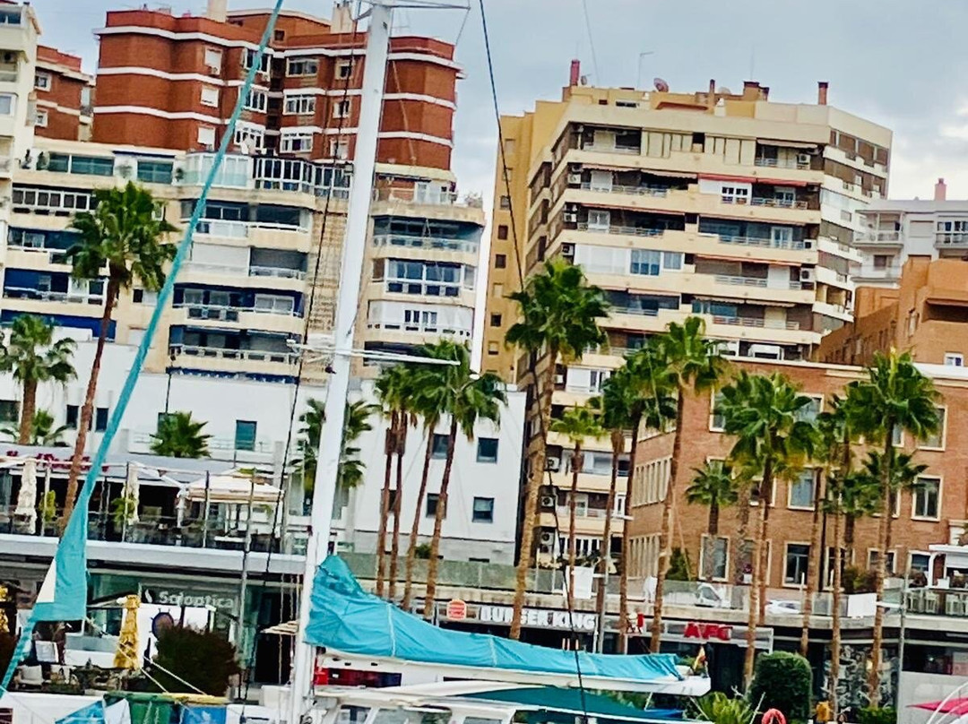 Palmeral de las Sorpresas-马拉加必去景点