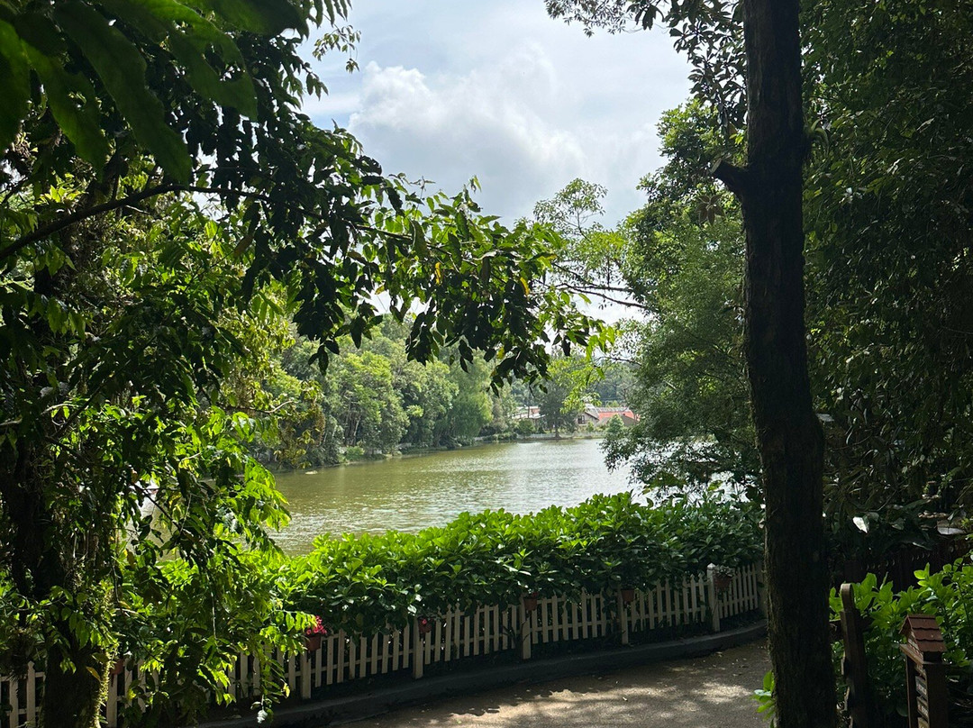 Parque Aldeia do Imigrante-Nova Petropolis必去景点