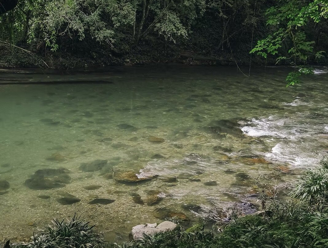 Los Colores Ecoparque主图