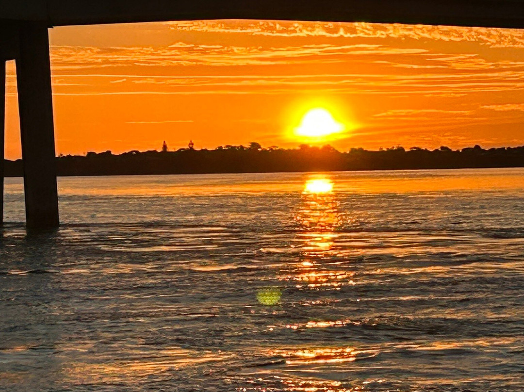 Wildlife Coast Cruises-考斯必去景点